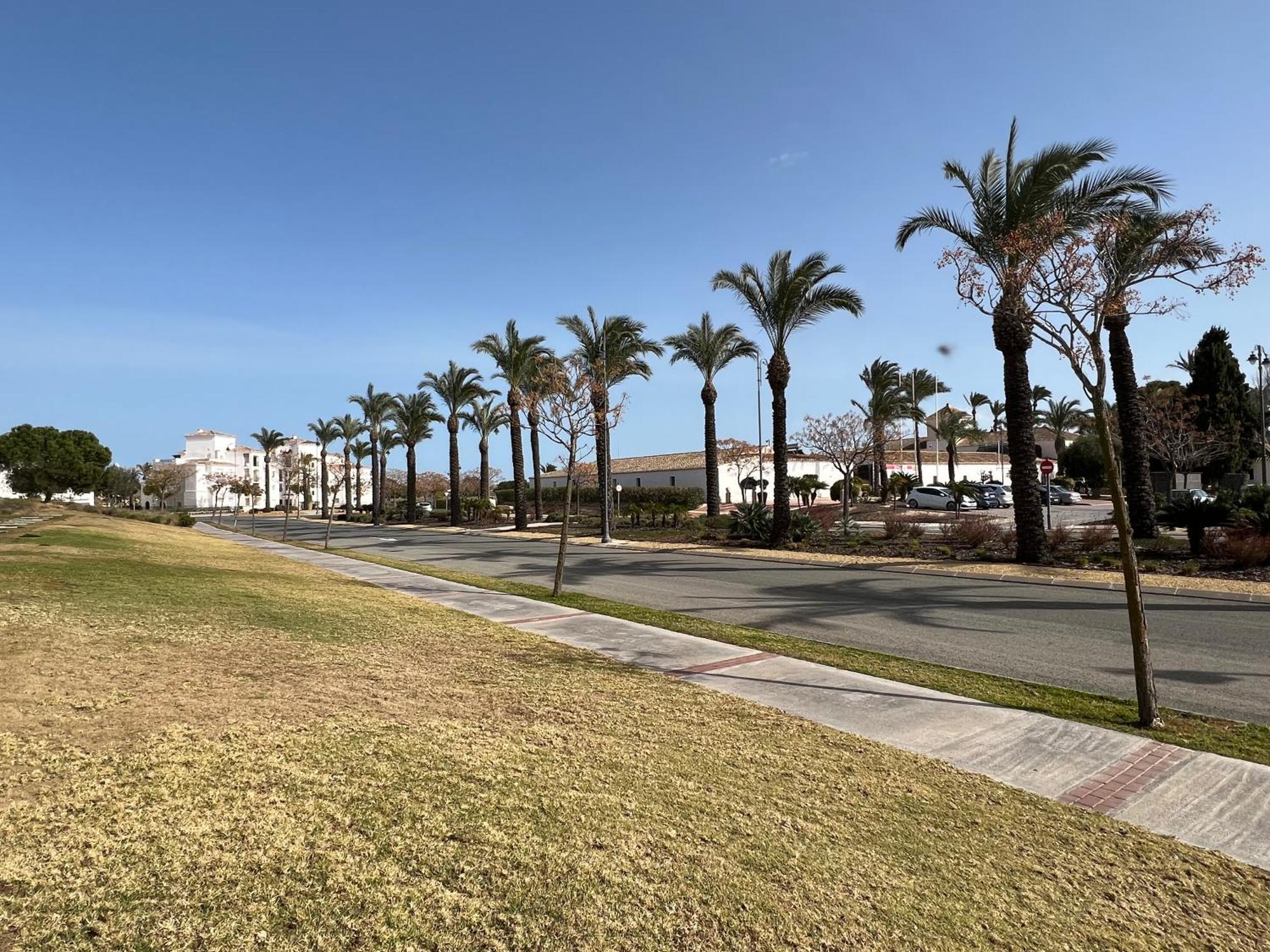 Apartment In Hacienda Riquelme Golf Resort Сусина Экстерьер фото